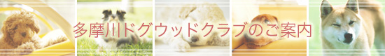 多摩川ドグウッドクラブのご案内