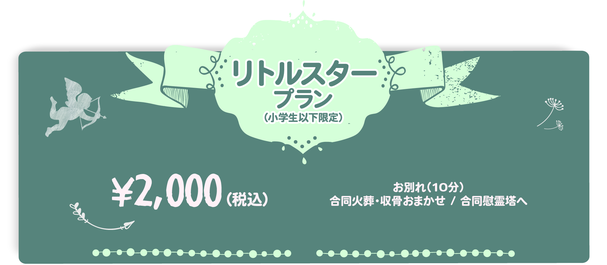 リトルスタープラン