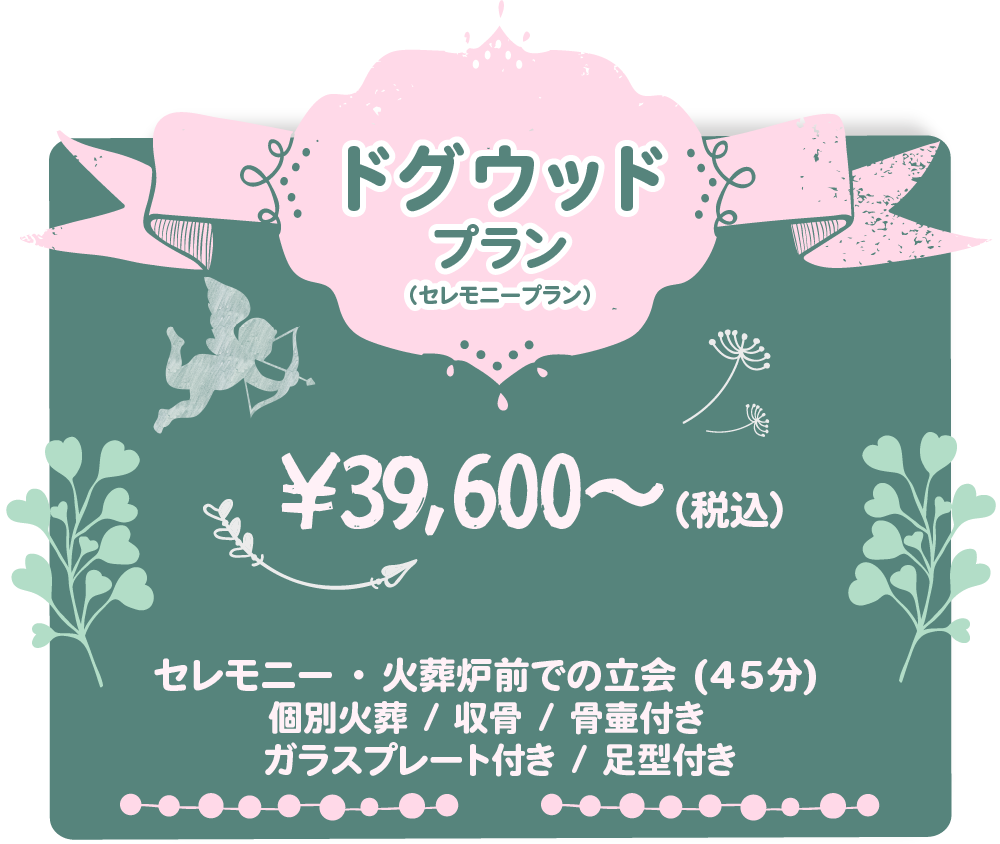 ドグウッドプランを見る